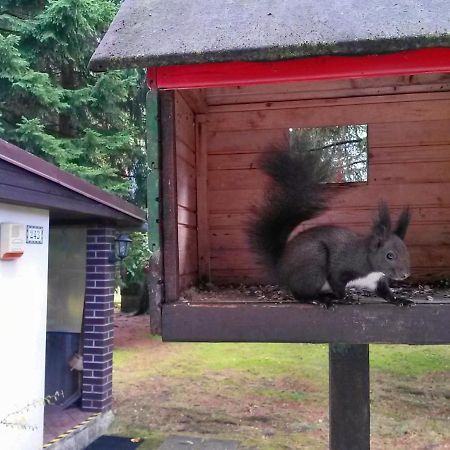 Dame Vam Pokoj - 4 Pokoje Se Sdilenou Kuchyni, Kapacita Max 9 Osob Harrachov Bagian luar foto