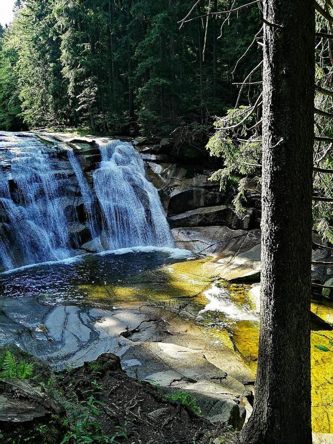 Dame Vam Pokoj - 4 Pokoje Se Sdilenou Kuchyni, Kapacita Max 9 Osob Harrachov Bagian luar foto