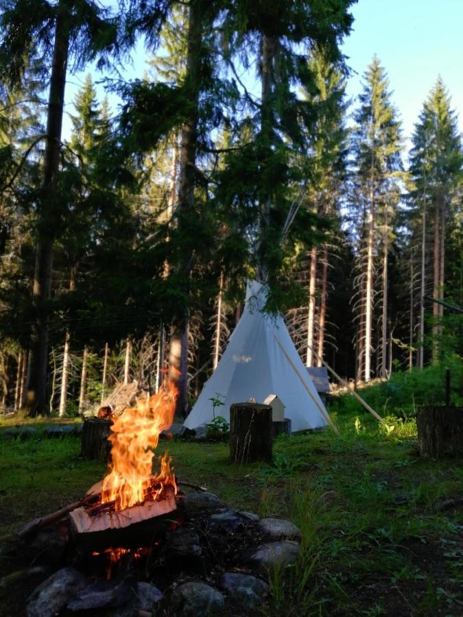 Dame Vam Pokoj - 4 Pokoje Se Sdilenou Kuchyni, Kapacita Max 9 Osob Harrachov Bagian luar foto