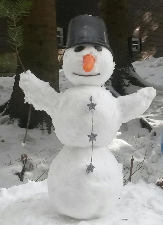 Dame Vam Pokoj - 4 Pokoje Se Sdilenou Kuchyni, Kapacita Max 9 Osob Harrachov Bagian luar foto
