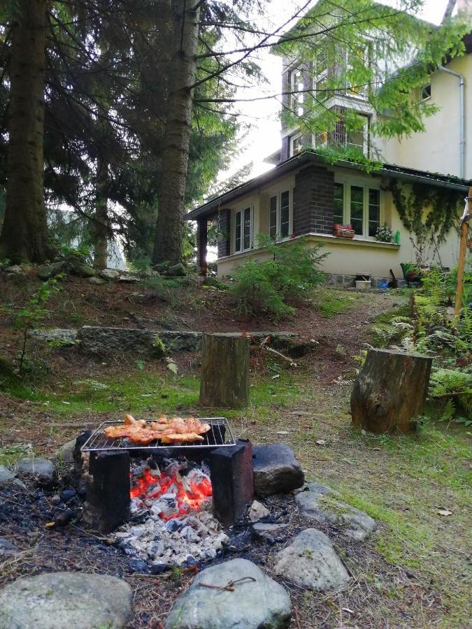 Dame Vam Pokoj - 4 Pokoje Se Sdilenou Kuchyni, Kapacita Max 9 Osob Harrachov Bagian luar foto