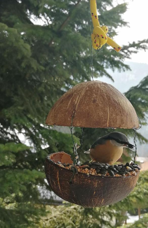 Dame Vam Pokoj - 4 Pokoje Se Sdilenou Kuchyni, Kapacita Max 9 Osob Harrachov Bagian luar foto