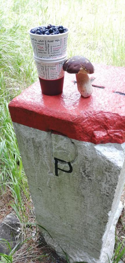 Dame Vam Pokoj - 4 Pokoje Se Sdilenou Kuchyni, Kapacita Max 9 Osob Harrachov Bagian luar foto