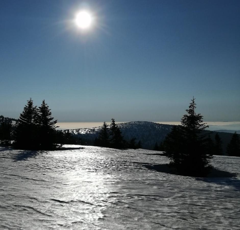 Dame Vam Pokoj - 4 Pokoje Se Sdilenou Kuchyni, Kapacita Max 9 Osob Harrachov Bagian luar foto