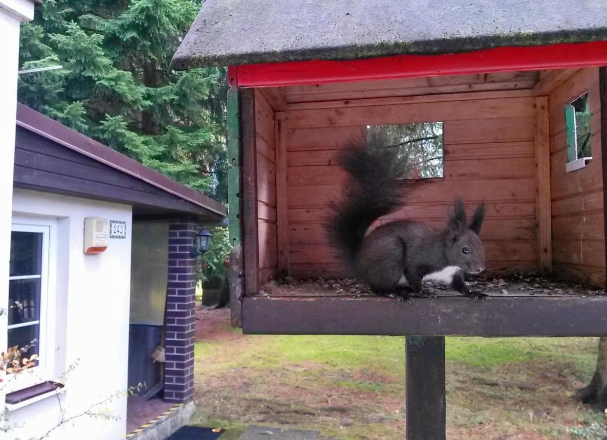 Dame Vam Pokoj - 4 Pokoje Se Sdilenou Kuchyni, Kapacita Max 9 Osob Harrachov Bagian luar foto