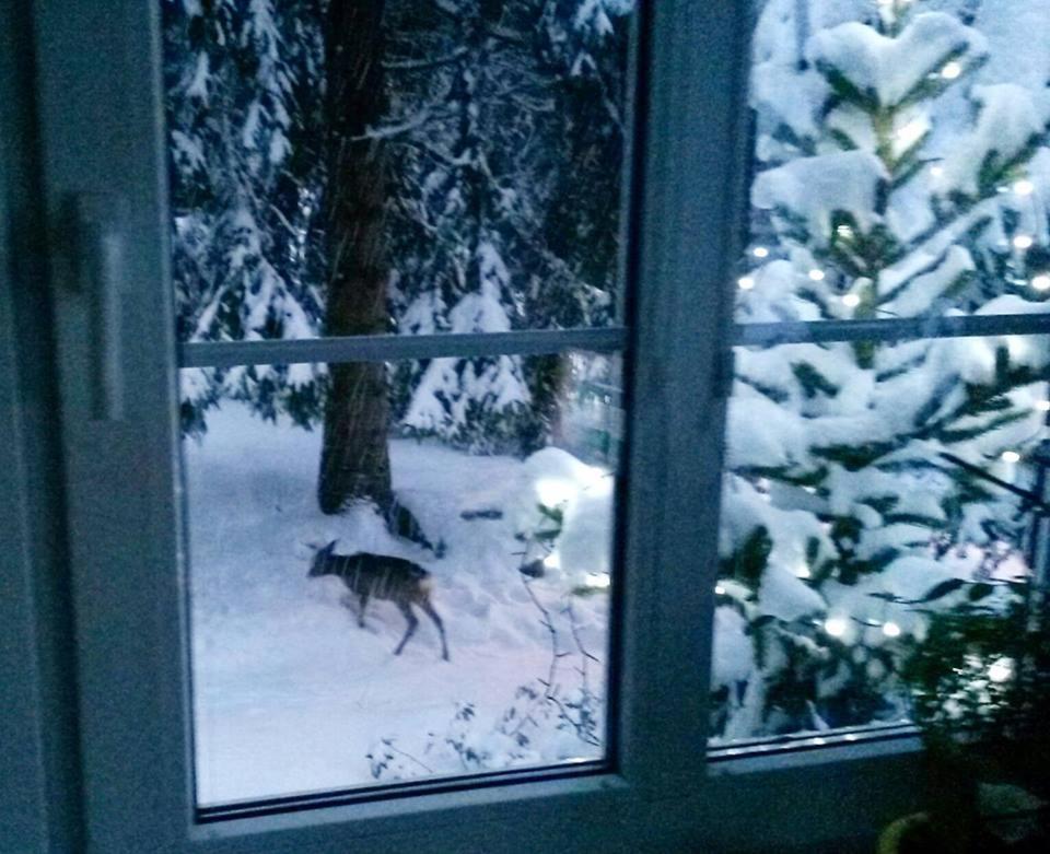 Dame Vam Pokoj - 4 Pokoje Se Sdilenou Kuchyni, Kapacita Max 9 Osob Harrachov Bagian luar foto